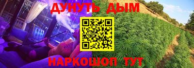 сатива Кинель