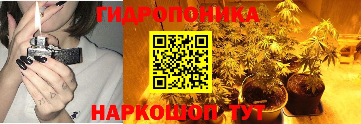 Бошки Шишки конопля  Конопля планчик  Вход с VPN  Каспийск 